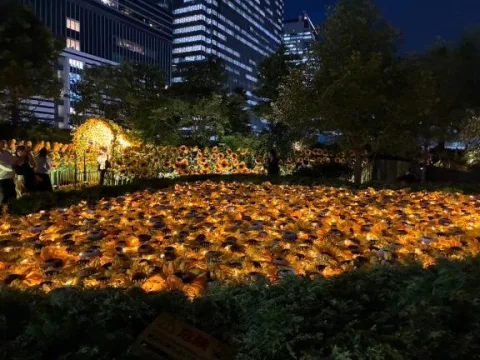 夜のライトアップ