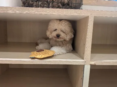 ありがと‪💕︎︎