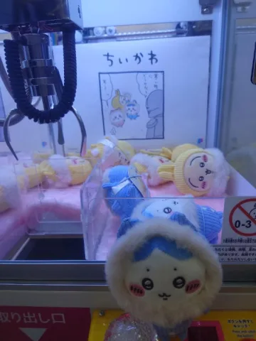 ことりん日記