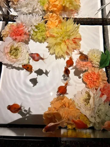 大きなケーキみたい🎂