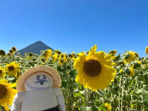 ことりん日記