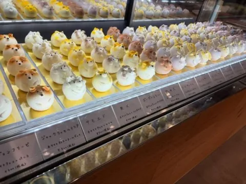 ことりん日記
