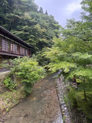 ことりん日記