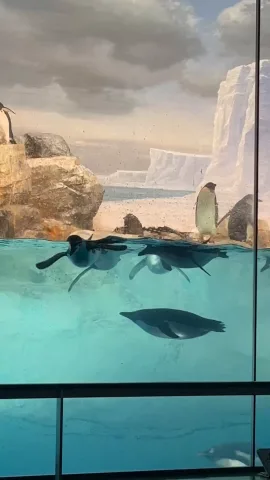 名古屋港水族館🦭