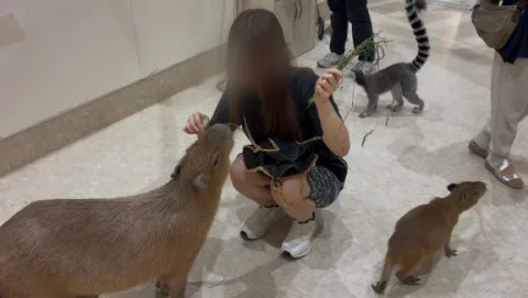 カピバラに餌あげた