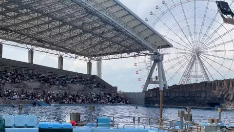 くるくるジャンプ🐬