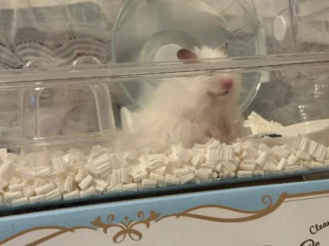 かわいい〜🥰🥰