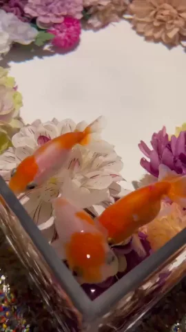 おはようございます‼️