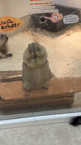 モグモグさん