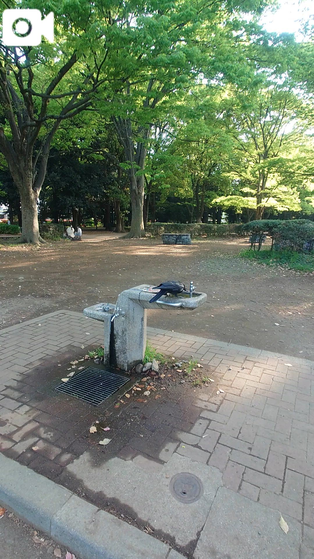 ことりん日記