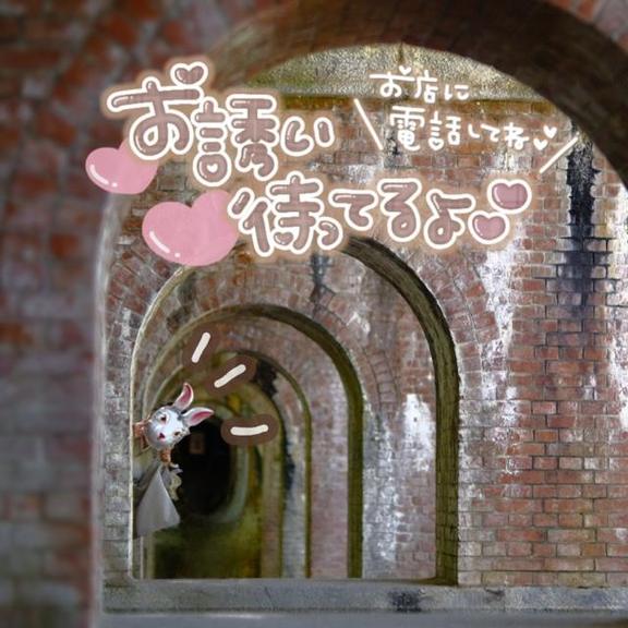 ｵﾊﾖｳｺﾞｻﾞｲﾏｽ( ¯⌓¯ )ᐝ