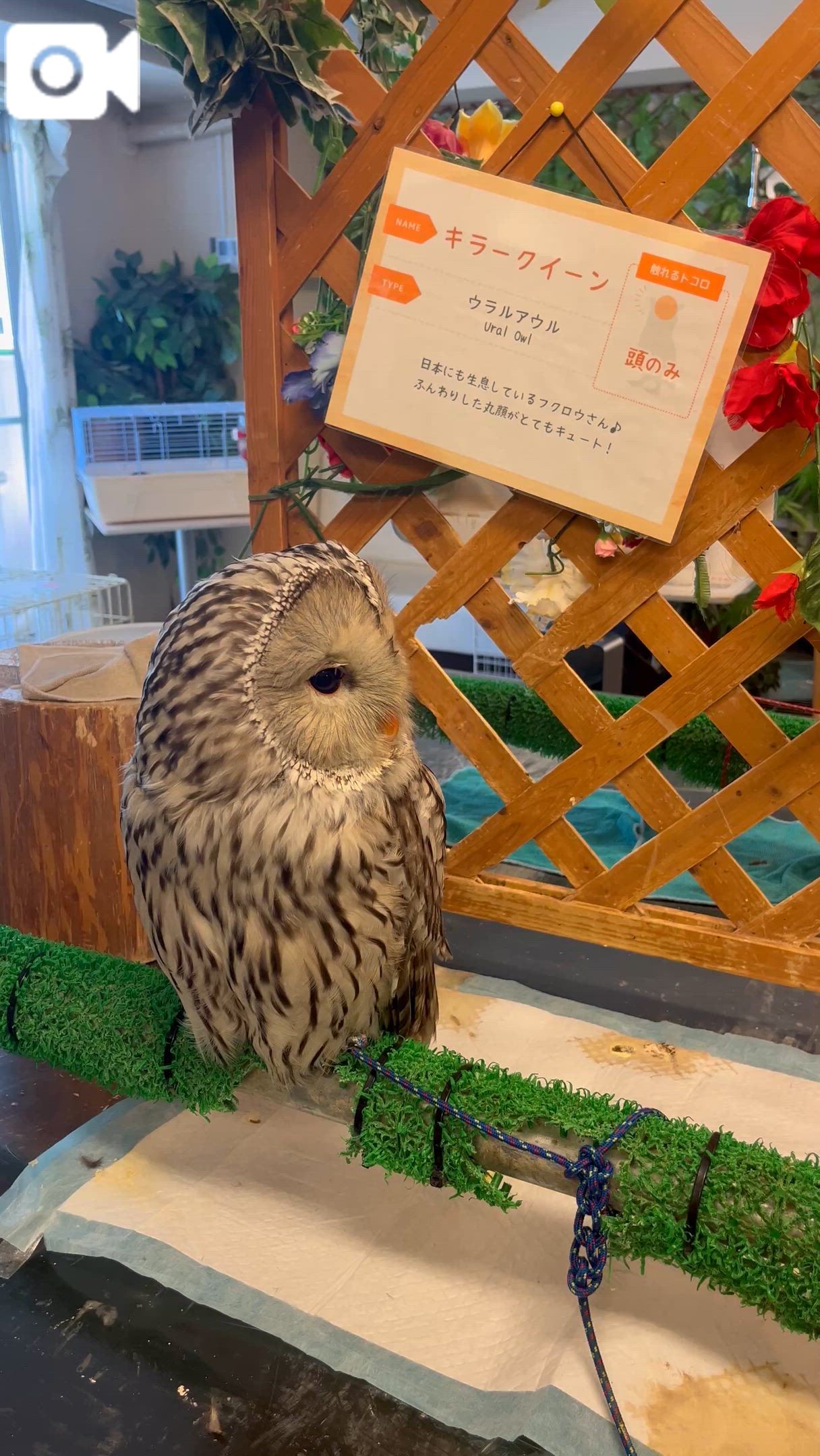 めっちゃそっぽ😂