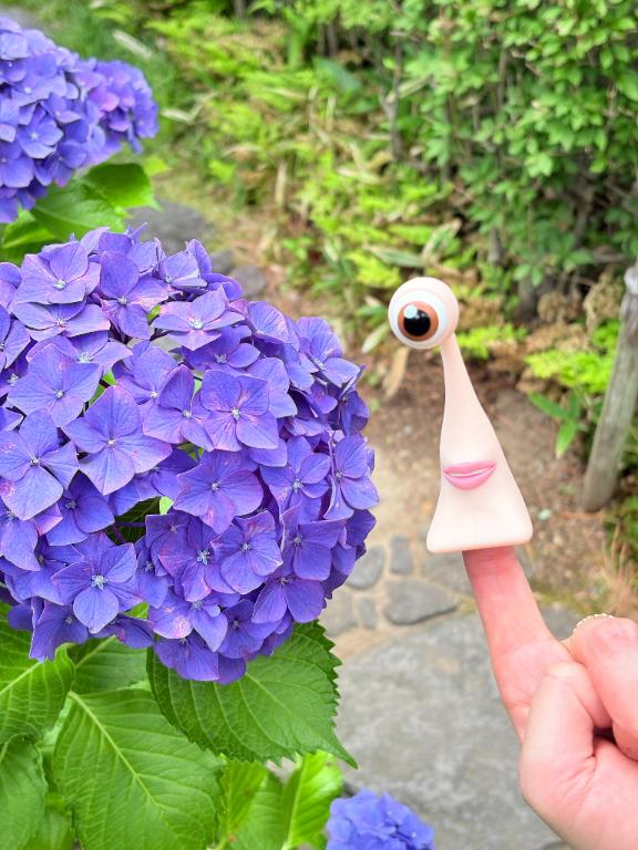 ことりん日記
