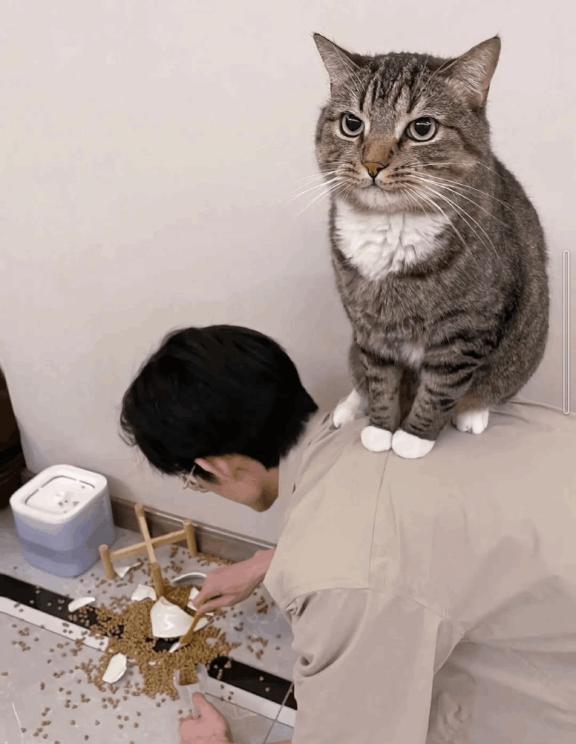 ことり 洗練された極上ガール！