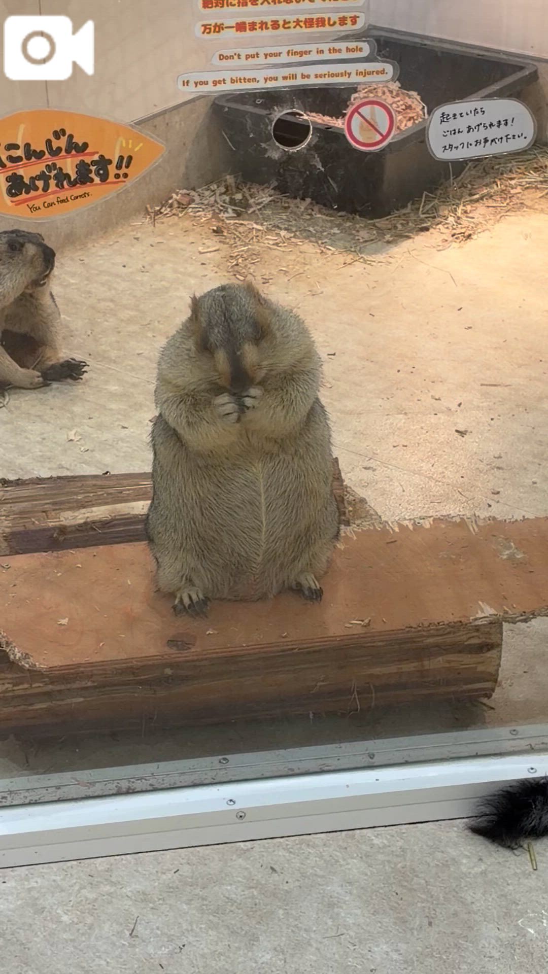 モグモグさん