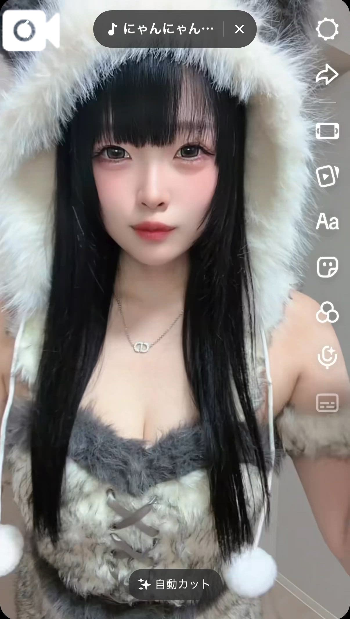 きらり キラリと輝く存在感！